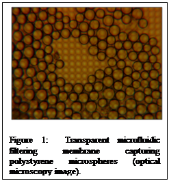 Text Box:    Figure 1:  Transparent microfluidic filtering membrane capturing polystyrene microspheres (optical microscopy image).      